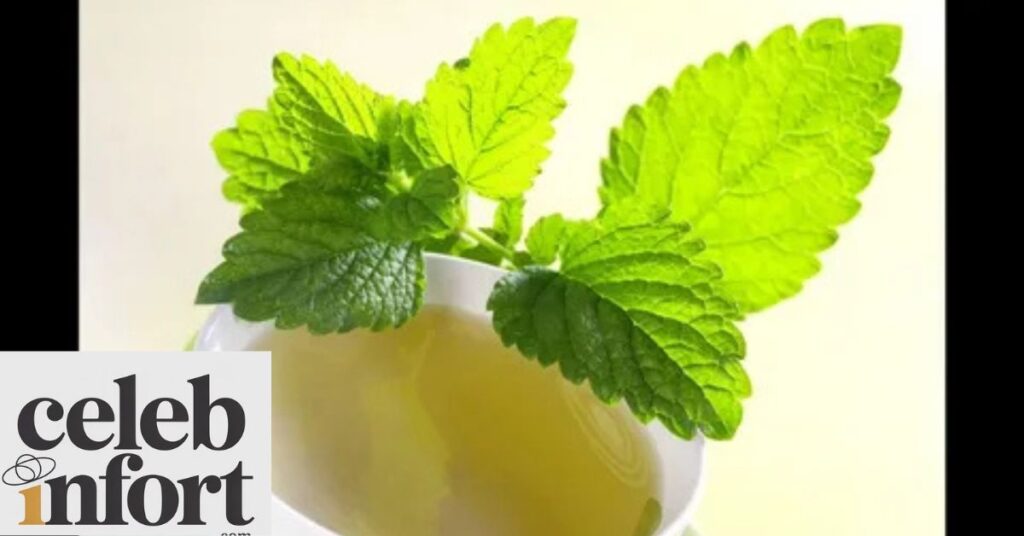 Lemon Balm for Weight Loss