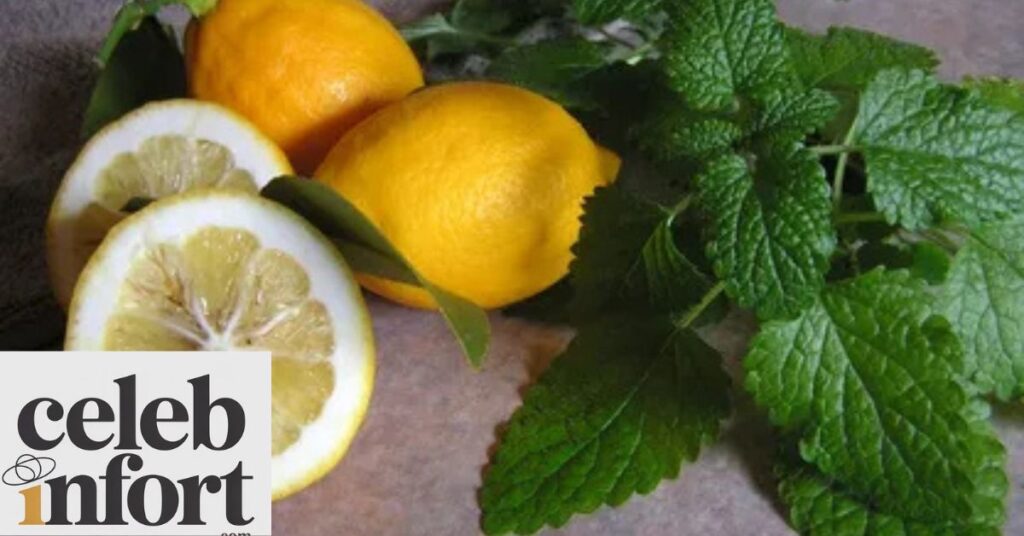 Lemon Balm for Weight Loss